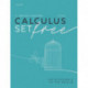 Calculus Set Free: Infinitesimals to the Rescue