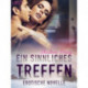 Ein sinnliches Treffen - Erotische Novelle
