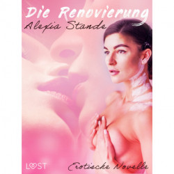 Die Renovierung - Erotische Novelle