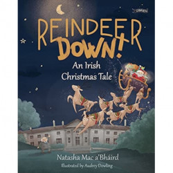 Reindeer Down!: An Irish Christmas Tale