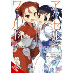 Accel World, Vol. 25 (light novel)