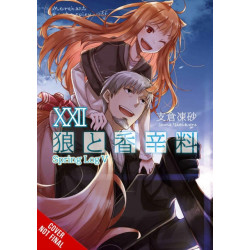 Spice and Wolf, Vol. 22 (light novel)