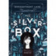 The Silver Box: An Enchantment Lake Mystery