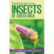 Pocket Guide to the Insects of Costa Rica