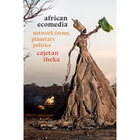 African Ecomedia: Network Forms, Planetary Politics