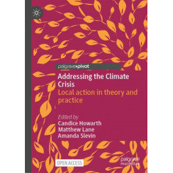 Addressing the Climate Crisis: Local action in theory and practice