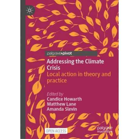 Addressing the Climate Crisis: Local action in theory and practice