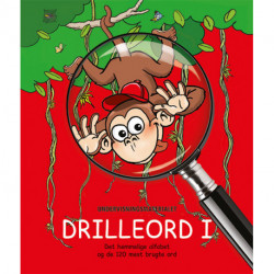 Drilleord 1 – Det hemmelige alfabet og de 120 mest brugte ord: Undervisningsmaterialet