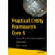 Practical Entity Framework Core 6: Database Access for Enterprise Applications
