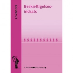 Beskæftigelsesindsats (Februar 2019)