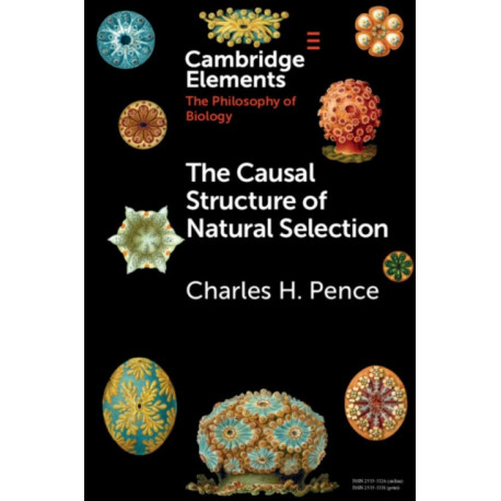 The Causal Structure of Natural Selection