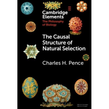 The Causal Structure of Natural Selection
