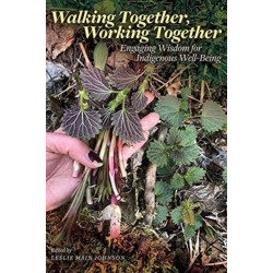 Walking Together, Working Together: Engaging Wisdom for Indigenous Well-Being
