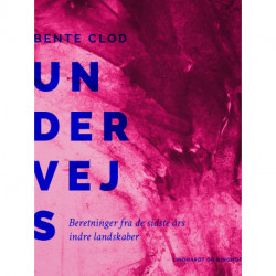Undervejs. Beretninger fra de sidste års indre landskaber