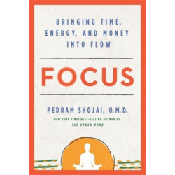Focus: Bringing Time, Energy and Money into Flow