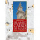 Islamic Cairo in Maps: Finding the Monuments