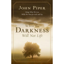 When the Darkness Will Not Lift: Doing What We Can While We Wait for God--and Joy