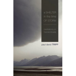 A Shelter in the Time of Storm: Meditations on God and Trouble