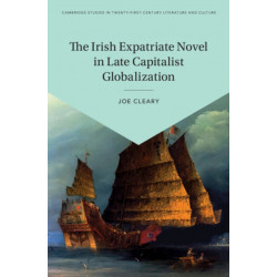 The Irish Expatriate Novel in Late Capitalist Globalization