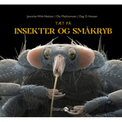 Tæt på insekter og småkryb