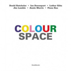 ColourSpace: David Batchelor, Ian Davenport, Lothar Goetz, Jim Lambie, Annie Morris, Fiona Rae