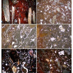 Bramiana: Salvaging Information from a Destroyed Minoan Settlement in Southeast Crete