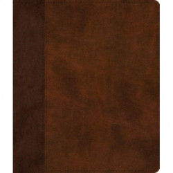 ESV Journaling Bible