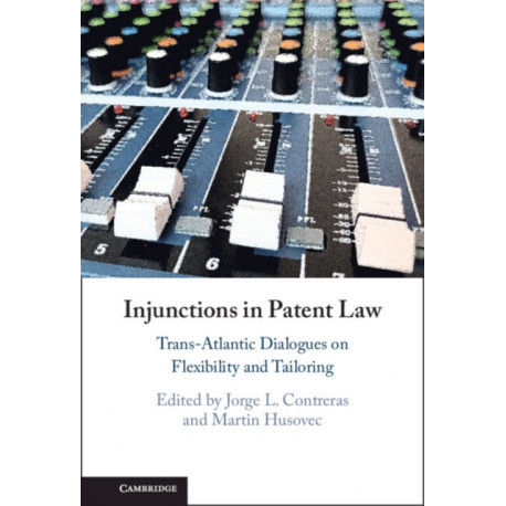 Injunctions in Patent Law: Trans-Atlantic Dialogues on Flexibility and Tailoring