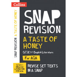 A Taste of Honey AQA GCSE 9-1 English Literature Text Guide: Ideal for the 2026 and 2027 Exams