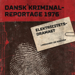 Elektricitetsdramaet