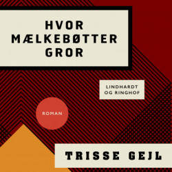 Hvor mælkebøtter gror