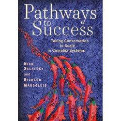 Pathways to Success: Taking Conservation to Scale in Complex Systems