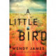 A Little Bird: A Novel