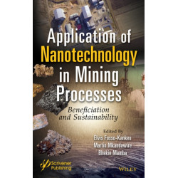 Application of Nanotechnology in Mining Processes: Beneficiation and Sustainability