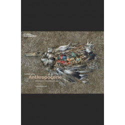 Surveying the Anthropocene:: Environment and Photography Now