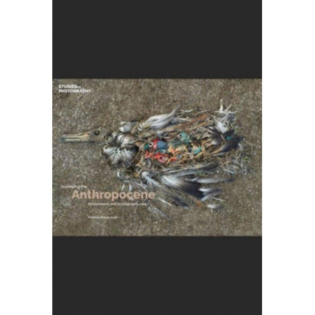 Surveying the Anthropocene:: Environment and Photography Now