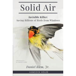 Solid Air: Invisible Killer- Saving Birds from Windows