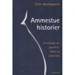 Ammestuehistorier: Fortællinger om graviditet, fødsel og moderskab