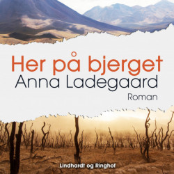 Her på bjerget