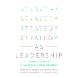 Strategy As Leadership: Facing Adaptive Challenges in Organizations