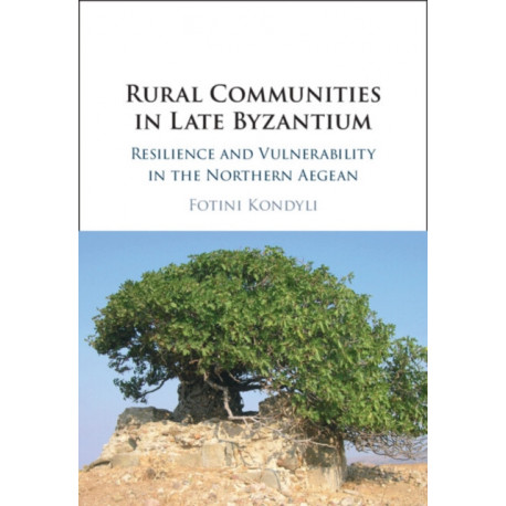 Rural Communities in Late Byzantium: Resilience and Vulnerability in the Northern Aegean