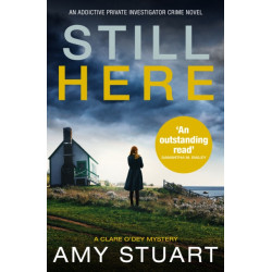 Still Here: An absolutely gripping private investigator crime novel