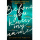 Before You Knew My Name: 'An exquisitely written, absolutely devastating novel' Red magazine