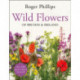 Wild Flowers: of Britain and Ireland