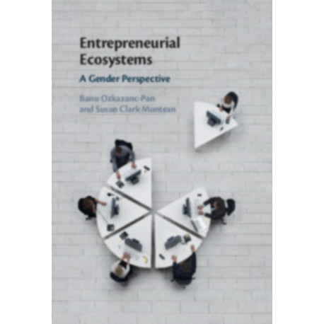 Entrepreneurial Ecosystems: A Gender Perspective