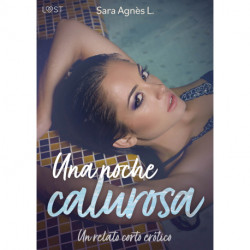 Una noche calurosa - un relato corto erótico