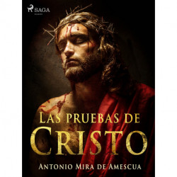 Las pruebas de Cristo