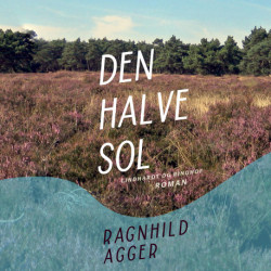 Den halve sol
