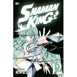 SHAMAN KING Omnibus 7 (Vol. 19-21)
