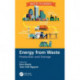 Energy from Waste: Production and Storage